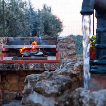Bed & Breakfast Le Rose Nettuno