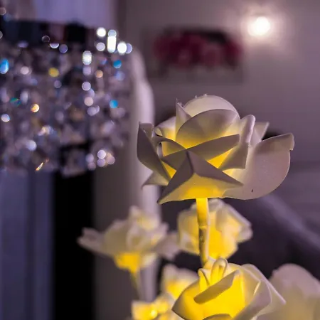 Le Rose Bed & Breakfast *