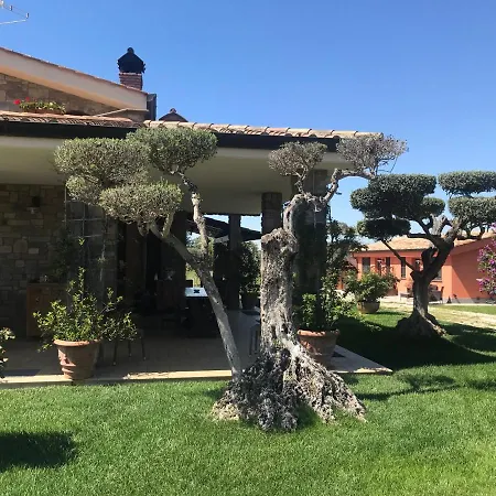 Bed & Breakfast Le Rose Nettuno
